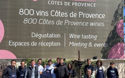 Service et jury au concours des vins de côte de Provence