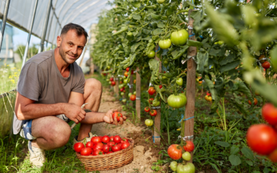 BPREA dans le Var : formez-vous aux métiers de l’apiculture, de la viticulture ou du maraîchage