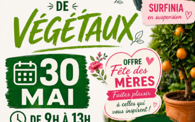 Les étudiants BTS AP1 d&rsquo;Agricampus Var organisent une vente de végétaux