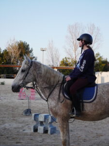 Option hippologie équitation cheval